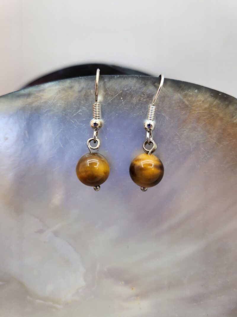 Boucles d'oreilles Œil de Tigre - Crochet acier inoxidable