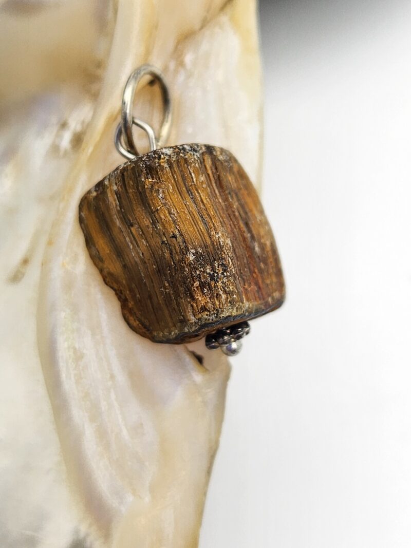 1 pendentif Œil de Tigre BRUTE NO 6 - acier inoxydable