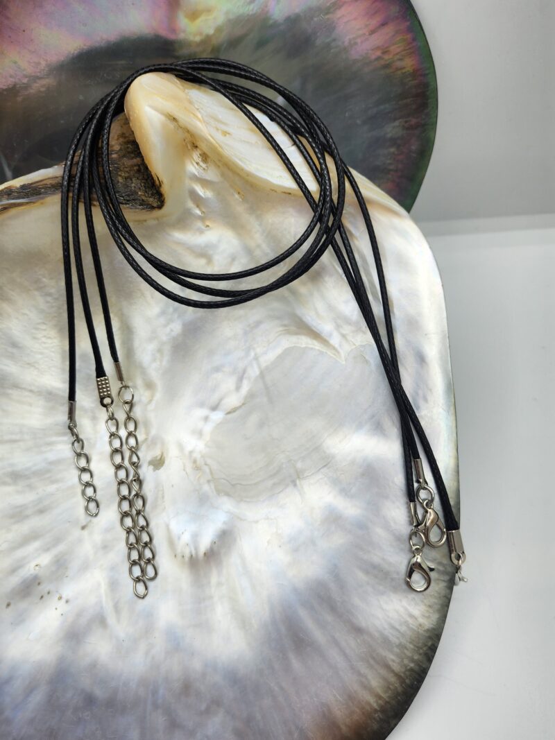 1 Cordon avec fermoir acier inoxydable